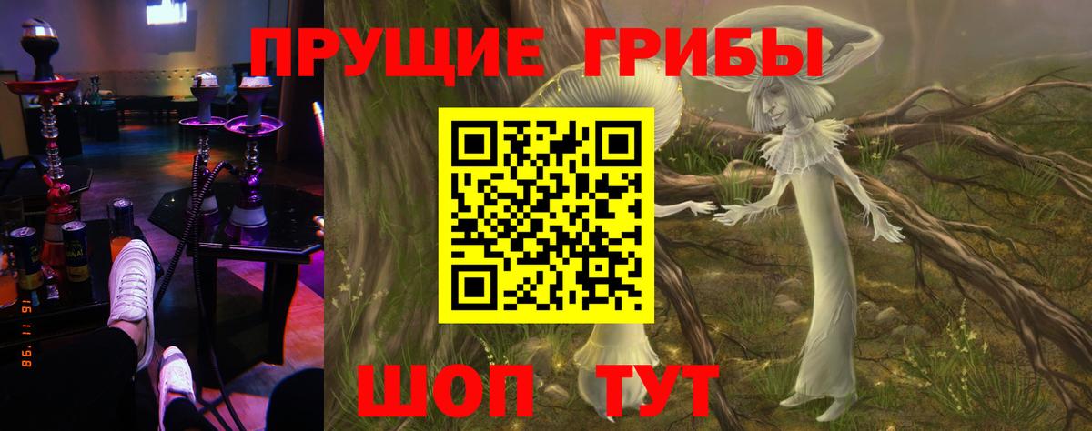 Галлюциногенные грибы Psilocybine cubensis Черемхово